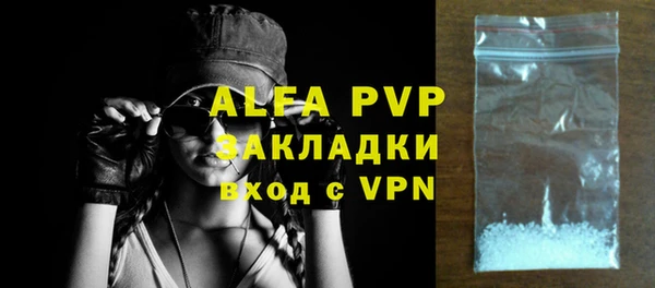 индика Балабаново
