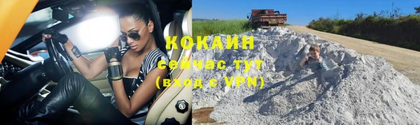 индика Балабаново