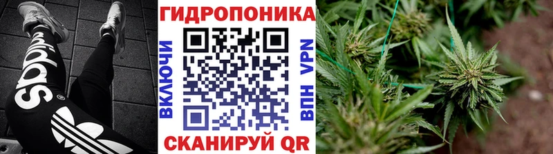 Бошки марихуана OG Kush где купить наркотик Радужный
